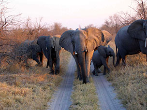 Botswana