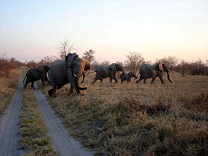 Botswana