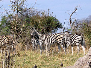 Botswana