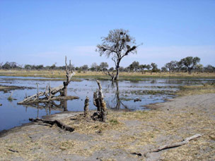 Botswana
