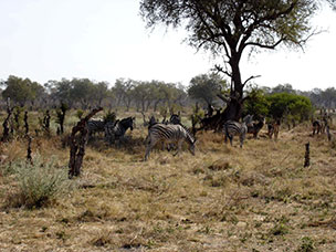 Botswana