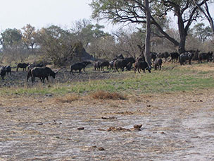 Botswana