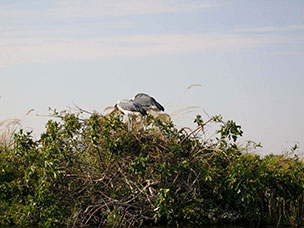Botswana