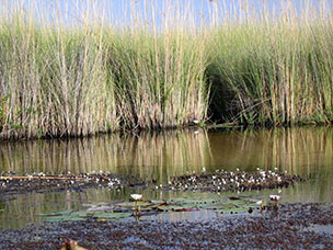 Botswana