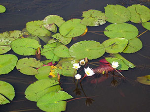 Botswana