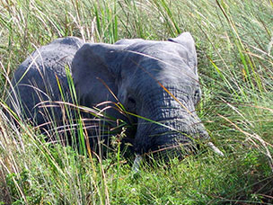 Botswana