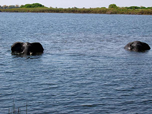 Botswana
