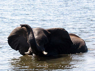 Botswana