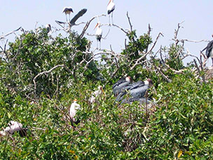 Botswana
