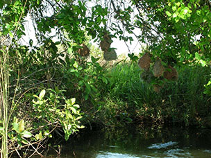 Botswana