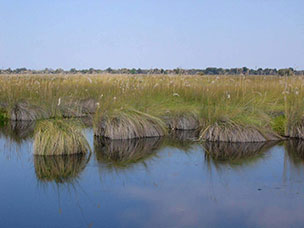 Botswana