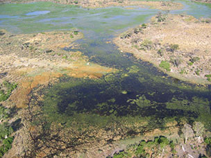 Botswana