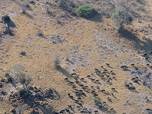 Botswana