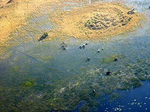 Botswana