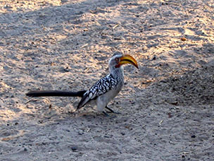 Botswana