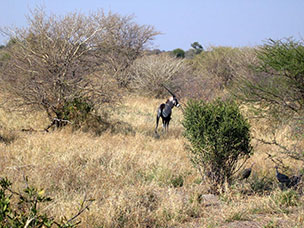 Botswana