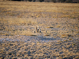 Botswana