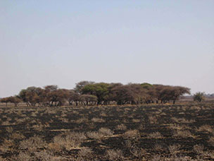 Botswana