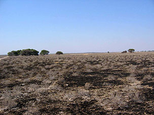 Botswana