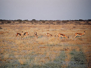 Botswana
