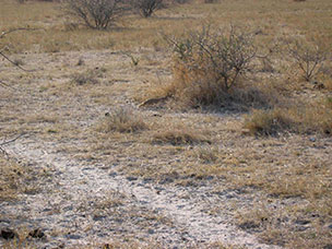 Botswana