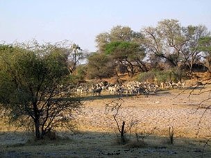 Botswana