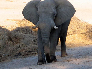 Botswana