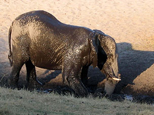 Botswana