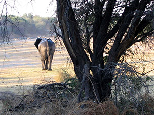 Botswana