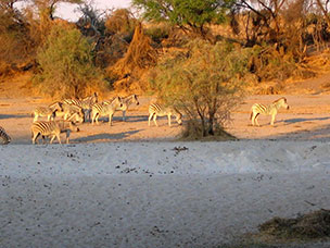 Botswana
