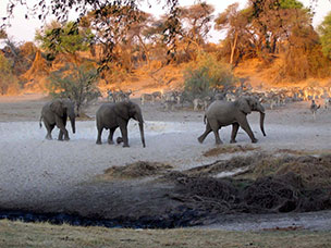 Botswana