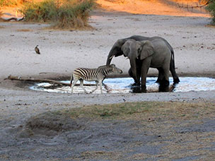 Botswana