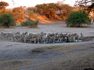 Botswana