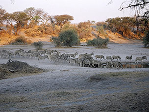 Botswana