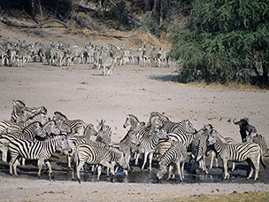 Botswana