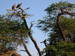 Botswana