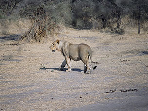Botswana