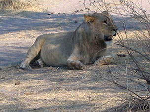 Botswana