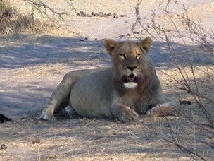 Botswana