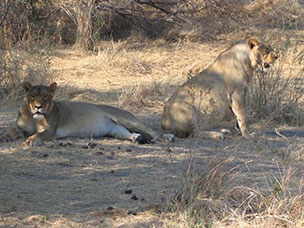 Botswana