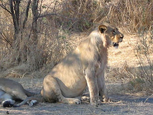 Botswana
