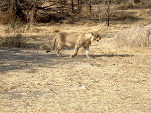 Botswana