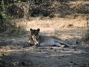 Botswana