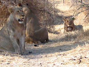 Botswana