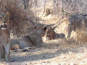Botswana