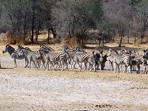 Botswana