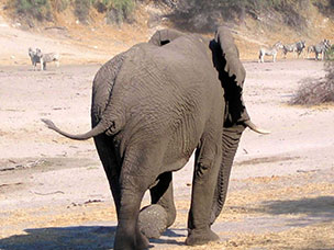 Botswana