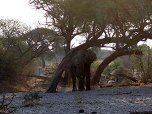 Botswana