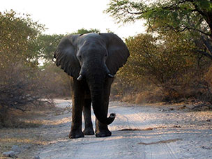Botswana