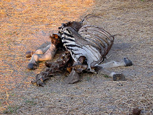 Botswana